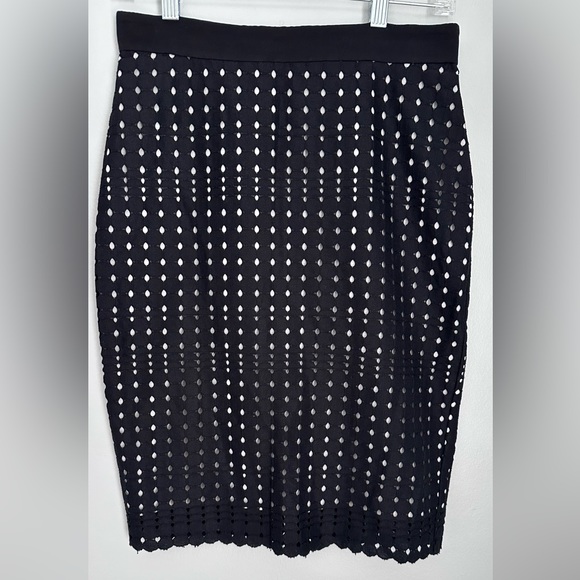 Ann Taylor Dresses & Skirts - Ann Taylor Black Lace Pencil Skirt Size 2